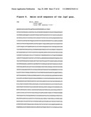 Biosynthetic gene cluster for leptomycins diagram and image