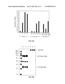 PROCESS OF SCREENING FOR ALPHA-THALASSEMIA CARRIER USING IMMUNOCHROMATOGRAPHIC STRIP TEST diagram and image