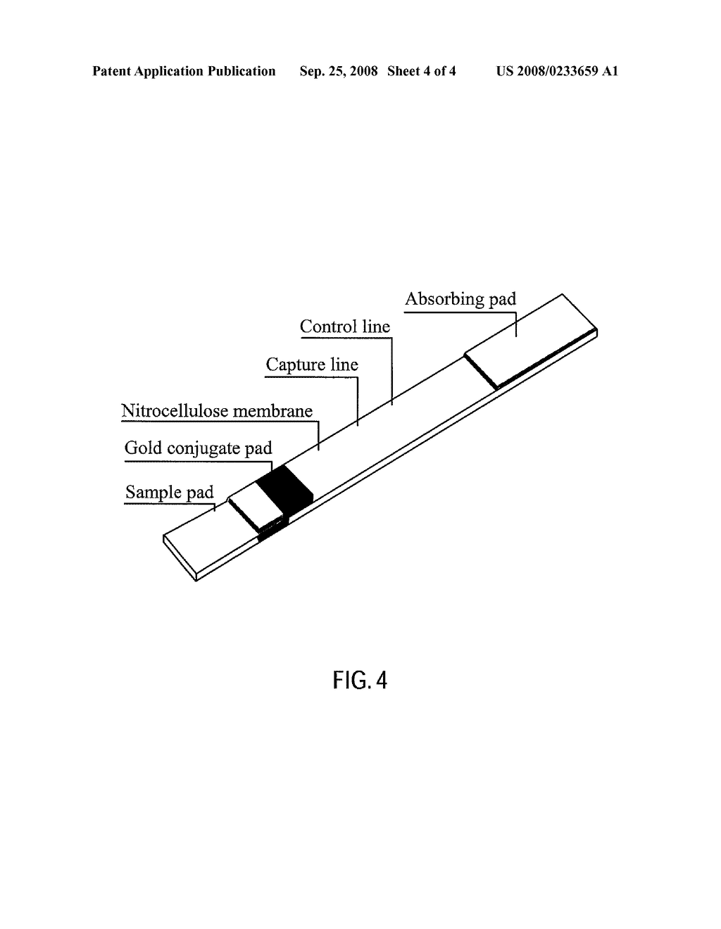 PROCESS OF SCREENING FOR ALPHA-THALASSEMIA CARRIER USING IMMUNOCHROMATOGRAPHIC STRIP TEST - diagram, schematic, and image 05