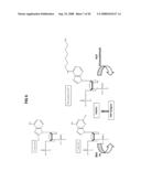 Assay Method for Group Transfer Reactions diagram and image