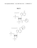 Assay Method for Group Transfer Reactions diagram and image