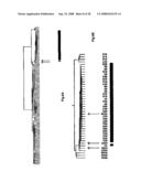 Diagnosis, prognosis and identification of potential therapeutic targets of multiple myeloma based on gene expression profiling diagram and image