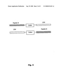 Cell Penetrating Peptides diagram and image