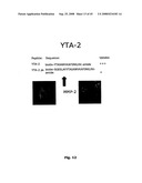 Cell Penetrating Peptides diagram and image