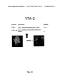 Cell Penetrating Peptides diagram and image