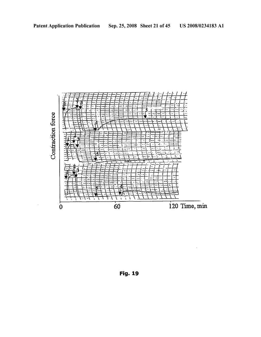 Cell Penetrating Peptides - diagram, schematic, and image 22