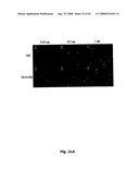 Cell Penetrating Peptides diagram and image