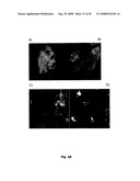 Cell Penetrating Peptides diagram and image