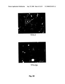 Cell Penetrating Peptides diagram and image