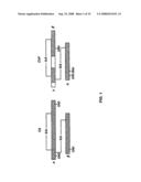 Human complement C3 derivates with cobra venom factor-like function diagram and image