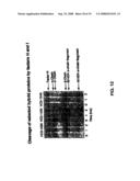 Human complement C3 derivates with cobra venom factor-like function diagram and image