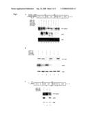 Methods and compositions for reducing viral genome amounts in a small target stem cell diagram and image