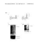 Methods and compositions for reducing viral genome amounts in a small target stem cell diagram and image