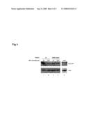 Methods and compositions for reducing viral genome amounts in a small target stem cell diagram and image