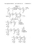 CATALYZED MULTIPLE GRAFTING POLYMERIZATIONS diagram and image