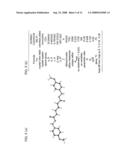 Stereoregular polymer and monomer thereof and process for production of both diagram and image