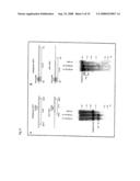 Artificial mammalian chromosome diagram and image
