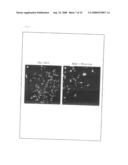 Artificial mammalian chromosome diagram and image