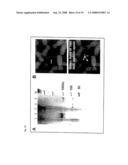 Artificial mammalian chromosome diagram and image