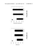 Compositions and Methods for Increasing Plant Tolerance to High Population Density diagram and image