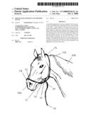 ROPE HALTER APPARATUS AND METHOD OF USE diagram and image