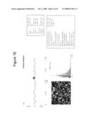 Nanopore structured electrochemical biosensors diagram and image