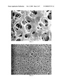 MACROPOROUS COPOLYMERS WITH LARGE PORES diagram and image