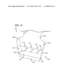 ACCEPTANCE TRAY FOR AN ELECTION BALLOT PRINTING SYSTEM diagram and image