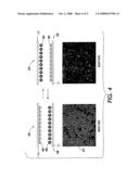 PARTICLES FOR ELECTROPHORETIC MEDIA diagram and image