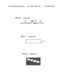 Semiconductor Device, Method of Fabricating the Same, and Apparatus for Fabricating the Same diagram and image