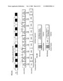 RECORDING MEDIUM, REPRODUCTION APPARATUS, RECORDING METHOD, PROGRAM AND REPRODUCTION METHOD diagram and image