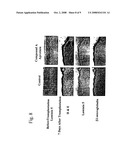 Skin vitalizing composition for external use anti-aging preparation diagram and image