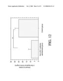 USES OF HUMAN MONOCLONAL ANTIBODIES AGAINST OXIDIZED LDL RECEPTOR diagram and image