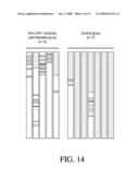 USES OF HUMAN MONOCLONAL ANTIBODIES AGAINST OXIDIZED LDL RECEPTOR diagram and image