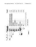 Vascular Endothelial Growth Factor C (VEGF-C) Protein and Gene, Mutants Thereof, and Uses Thereof diagram and image