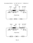 Ligands that bind a receptor diagram and image