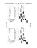 Ligands that bind a receptor diagram and image