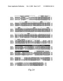 Transmembrane protein amigo and uses thereof diagram and image