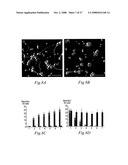 Transmembrane protein amigo and uses thereof diagram and image