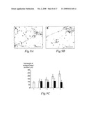 Transmembrane protein amigo and uses thereof diagram and image