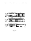 Transmembrane protein amigo and uses thereof diagram and image