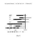 Transmembrane protein amigo and uses thereof diagram and image