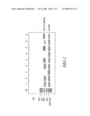 Nucleic acid encoding receptor type protein kinase diagram and image