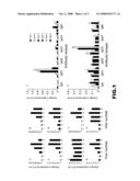 Idiotypic vaccine diagram and image