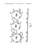 NUCLEIC ACID VACCINES FOR PREVENTION OF FLAVIVIRUS INFECTION diagram and image