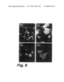 NUCLEIC ACID VACCINES FOR PREVENTION OF FLAVIVIRUS INFECTION diagram and image