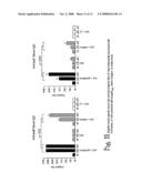 Artificial invaplex diagram and image