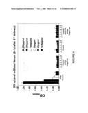 Composition and methods of RNAi therapeutics for treatment of cancer and other neovascularization diseases diagram and image