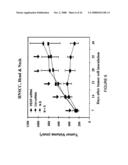 Composition and methods of RNAi therapeutics for treatment of cancer and other neovascularization diseases diagram and image