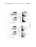 Composition and methods of RNAi therapeutics for treatment of cancer and other neovascularization diseases diagram and image